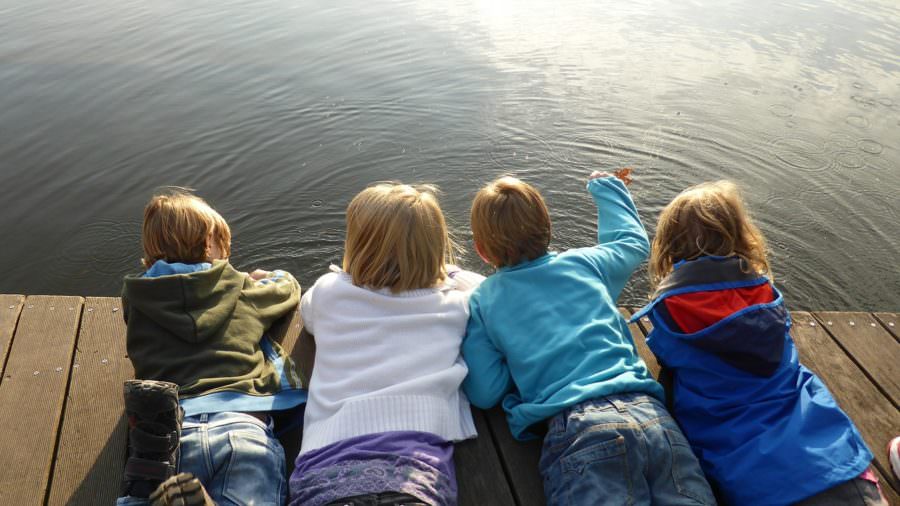 Los piojos prefieren vivir en varias cabezas de niños.